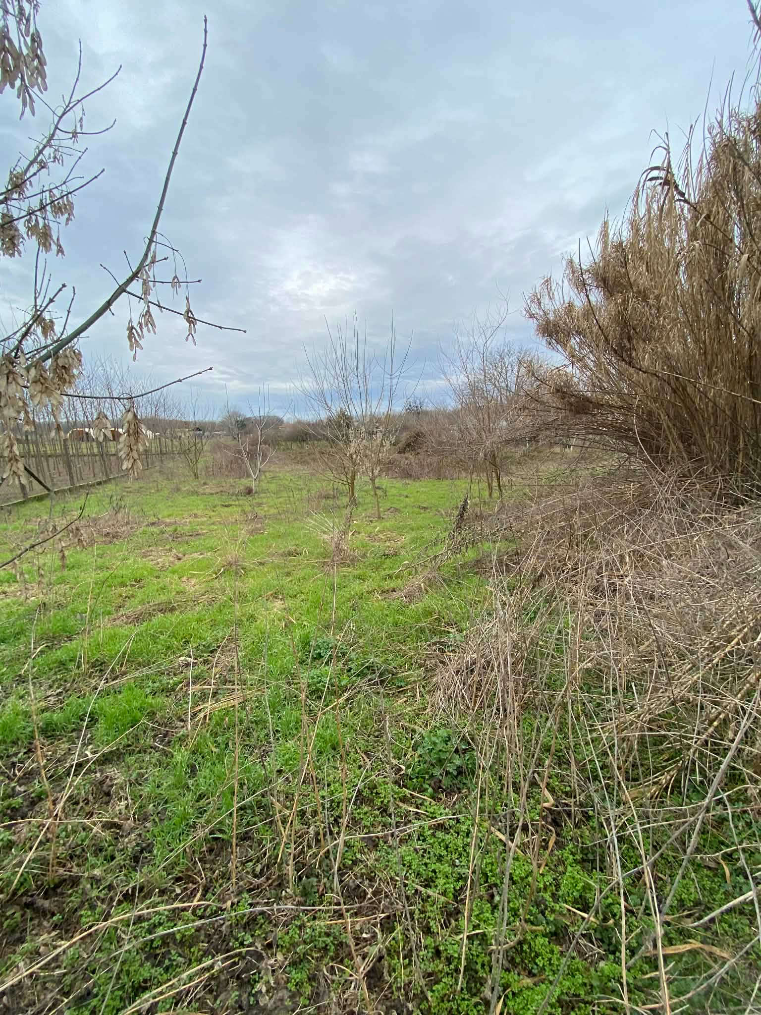 đïž EladĂł Ă©pĂtĂ©si telek VaskĂșt terĂŒletĂ©n â 1252 mÂČ â Ăr: 3.990.000 Ft - Image 2