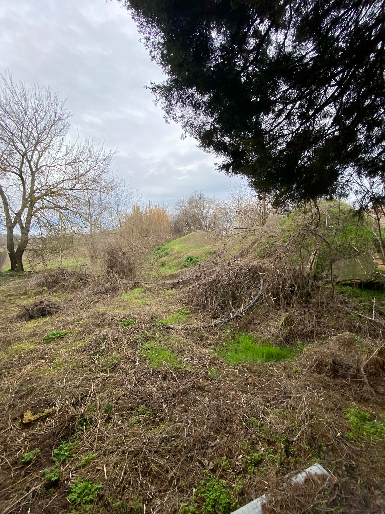 đïž EladĂł Ă©pĂtĂ©si telek VaskĂșt terĂŒletĂ©n â 1252 mÂČ â Ăr: 3.990.000 Ft - Image 3