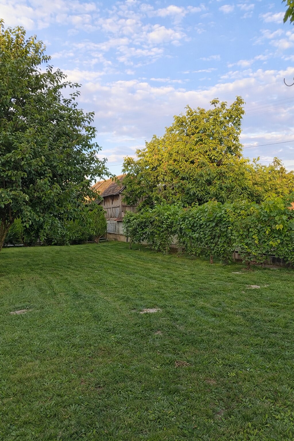 đĄđ„ ELADĂ TELJESKĂRưEN FELĂJĂTOTT CSALĂDI HĂZ Pörböly TERĂLETĂN â AZONNAL KĂLTĂZHETĆ, KOMPLEX MEGOLDĂS! đ„đĄ - Image 20